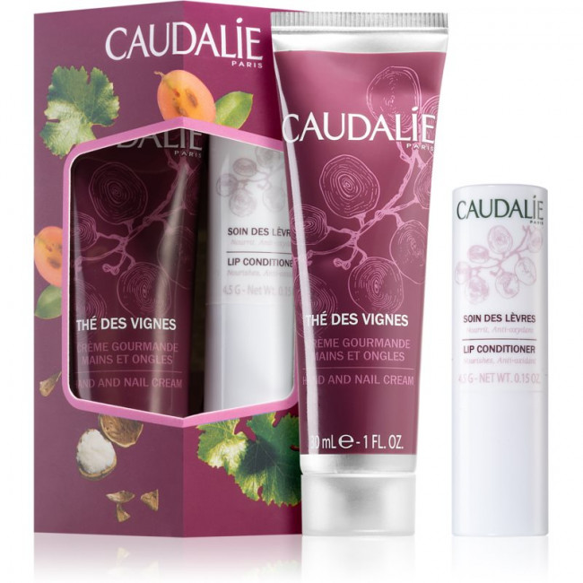 Caudalie Kit Lip Conditioner + The Des Vigne Hand and Nail cream